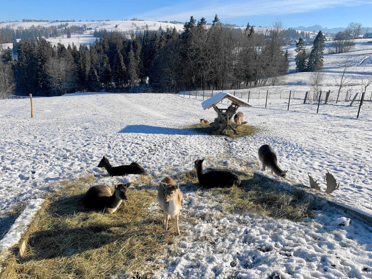 Czerwienne Osrodek Wypoczynkowy U Bartka Bed & Breakfast エクステリア 写真