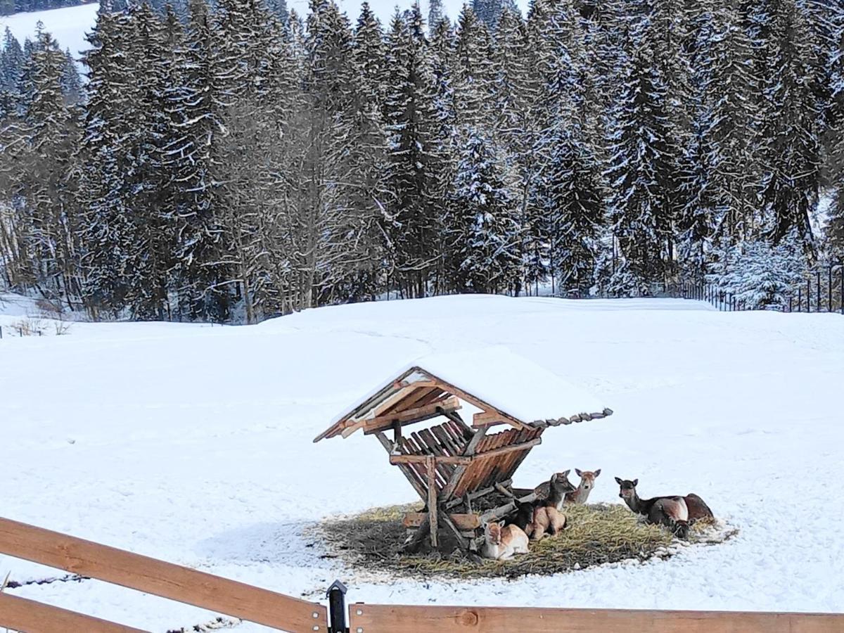 Czerwienne Osrodek Wypoczynkowy U Bartka Bed & Breakfast エクステリア 写真